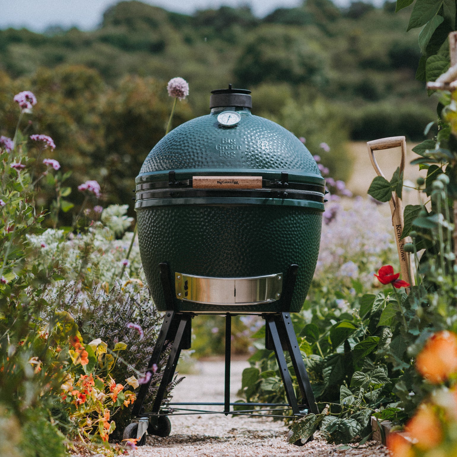 products/71BigGreenEggRC180716MattAustin.jpg